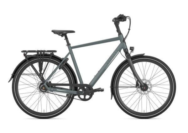GAZELLE Chamonix S8 Heren Green 57cm